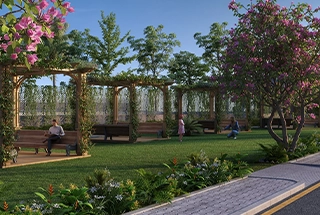 Rooftop Social Spaces